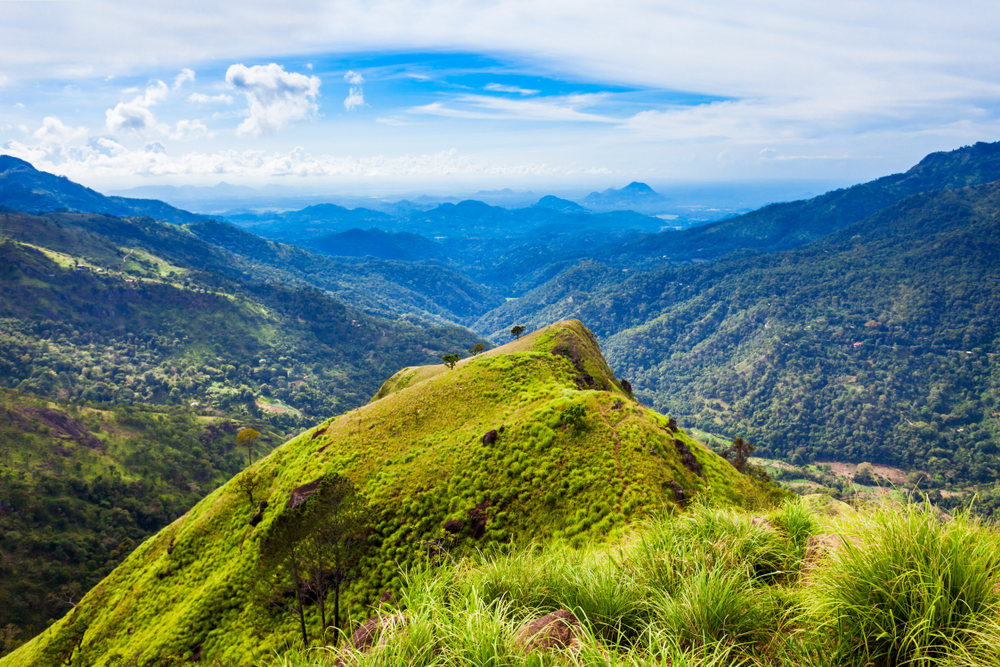 One Day Tour - South Escape Day Tours
